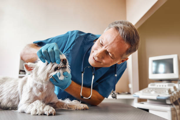 Best Same-Day Emergency Appointments in Liberty, NC